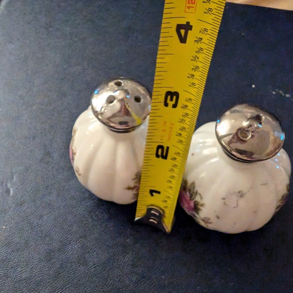 Pottstown Pennsylvania souvenir salt & pepper G1